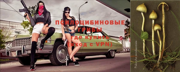 не бодяженный Беломорск